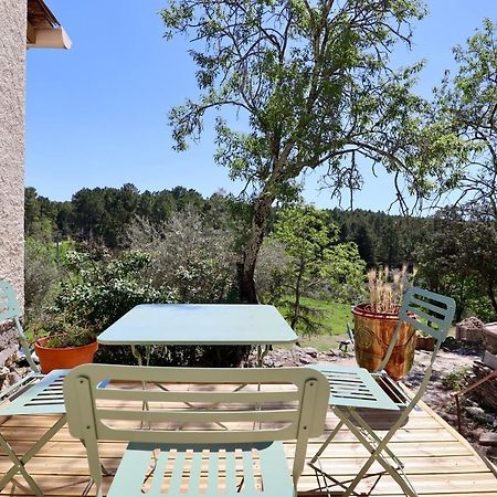 Le Mas Des Rouquets - Avec Piscine Et Jardin Anduze Exteriér fotografie